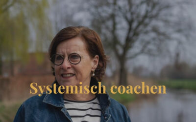 Systemisch coachen